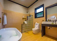 Slideshow Thumbnail 6 of 14