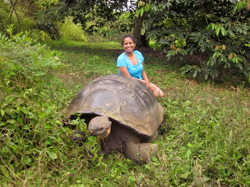 Sitting behind (not touching!) a giant tortoise in Santa Cruz, Galapagos.