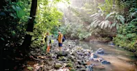 Guests hiking at the Corcovado National Park, Costa Rica.