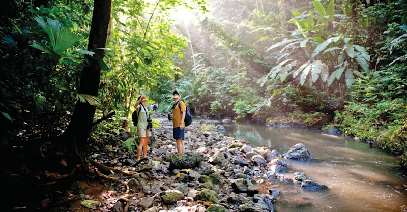 Guests hiking at the Corcovado National Park, Costa Rica.