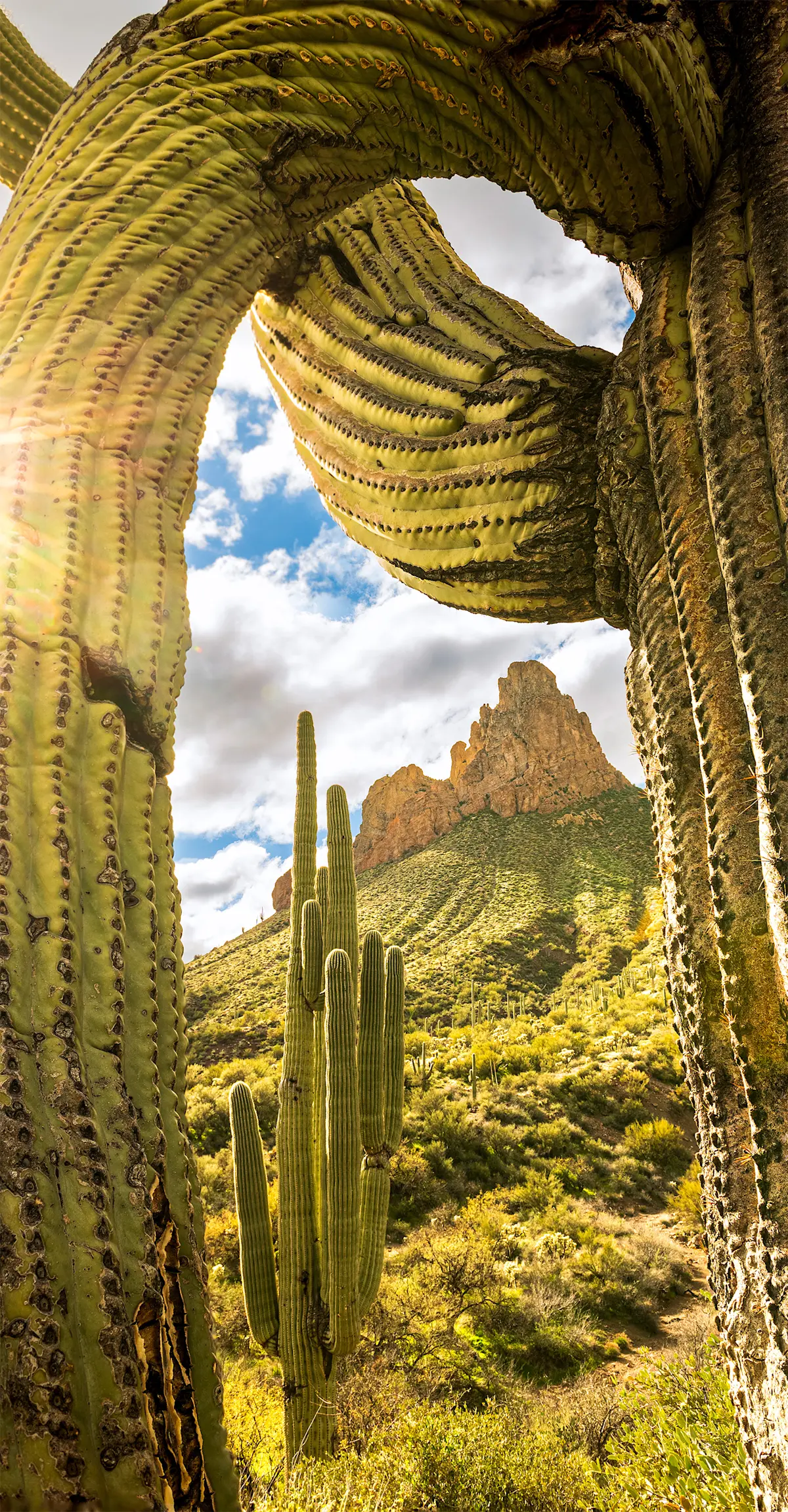 Queen Valley, Arizona.