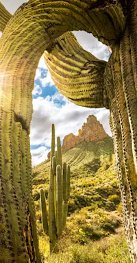 Queen Valley, Arizona