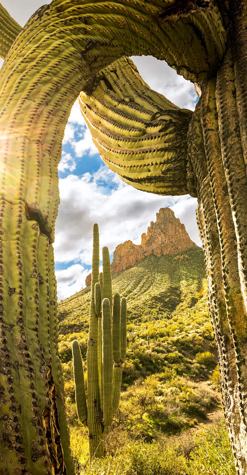 Queen Valley, Arizona
