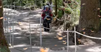Slideshow Thumbnail 7 of 12