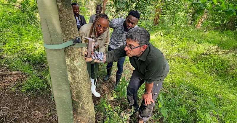 Earthwatch Scientist Dr. Antonio Uzal and guests check trail camera footage, Maasai Mara, Kenya. 