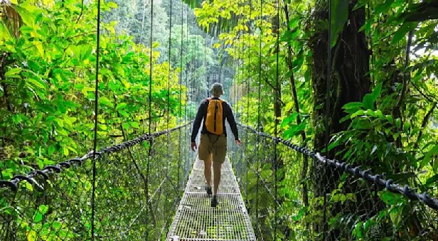 person on wire bridge in jungle