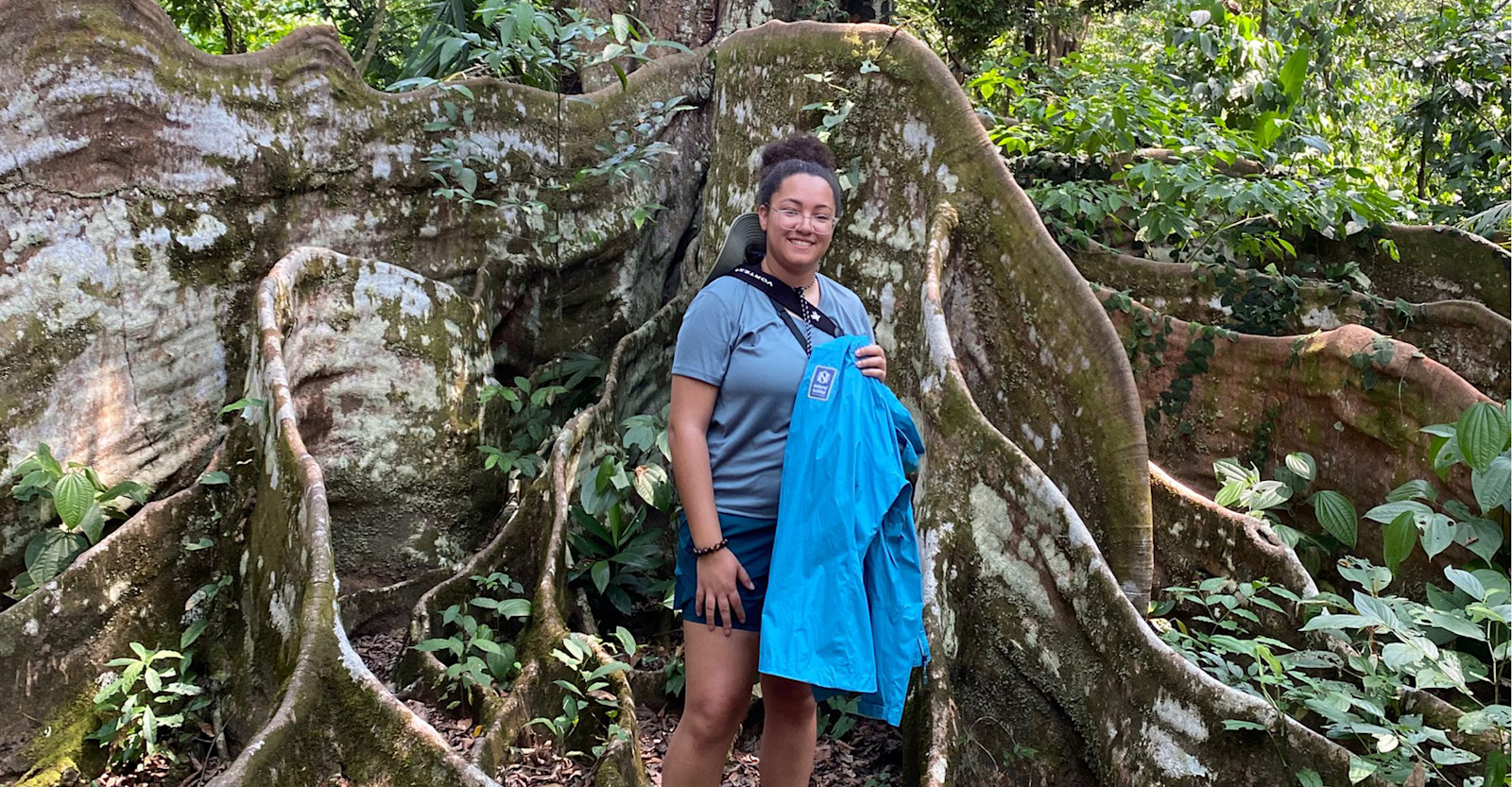 Between the ancient roots of nature in Costa Rica. 