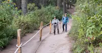 Slideshow Thumbnail 8 of 12
