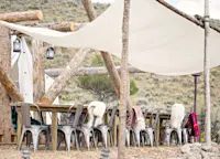 Slideshow Thumbnail 7 of 10