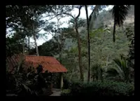 Slideshow Thumbnail 3 of 12
