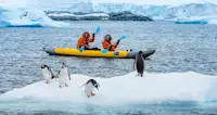 Kayaking with gentoo penguins, Cuverville Island, Antarctica.