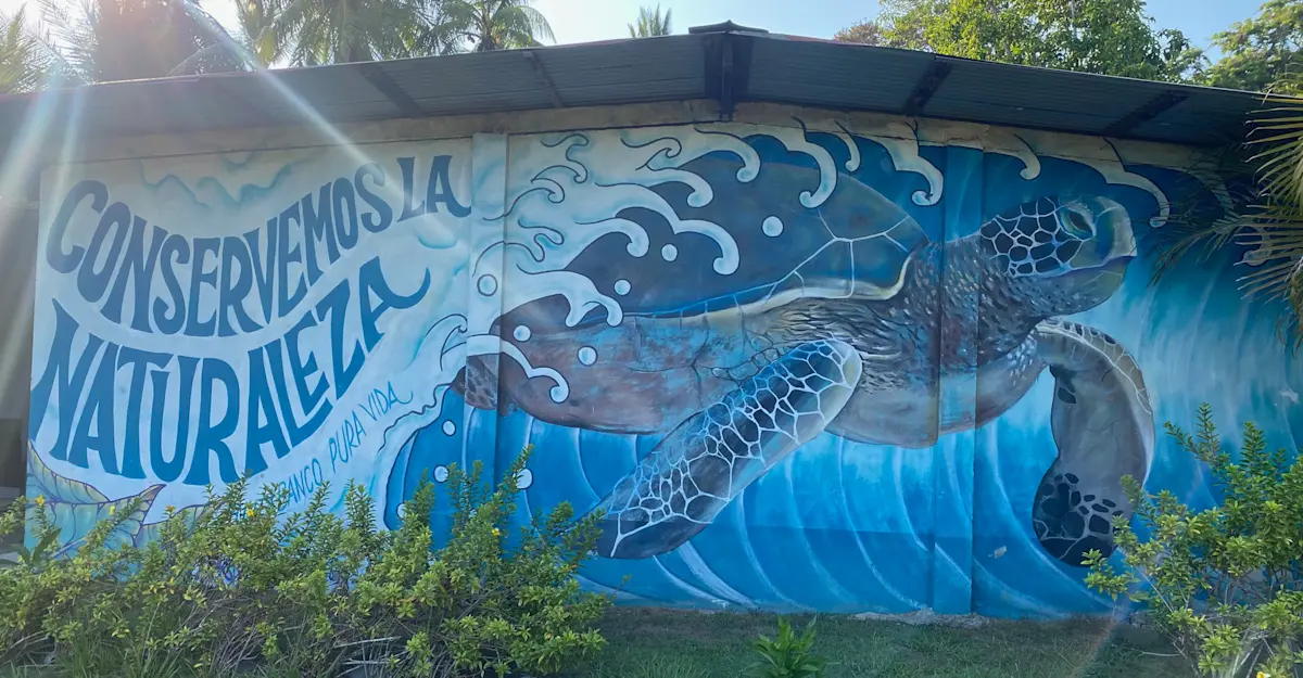 Earned a great respect for turtle conservation in Costa Rica. 