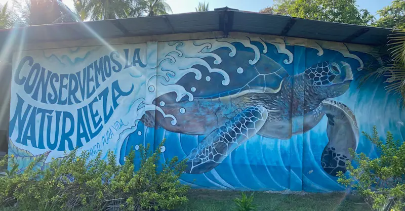 Earned a great respect for turtle conservation in Costa Rica. 