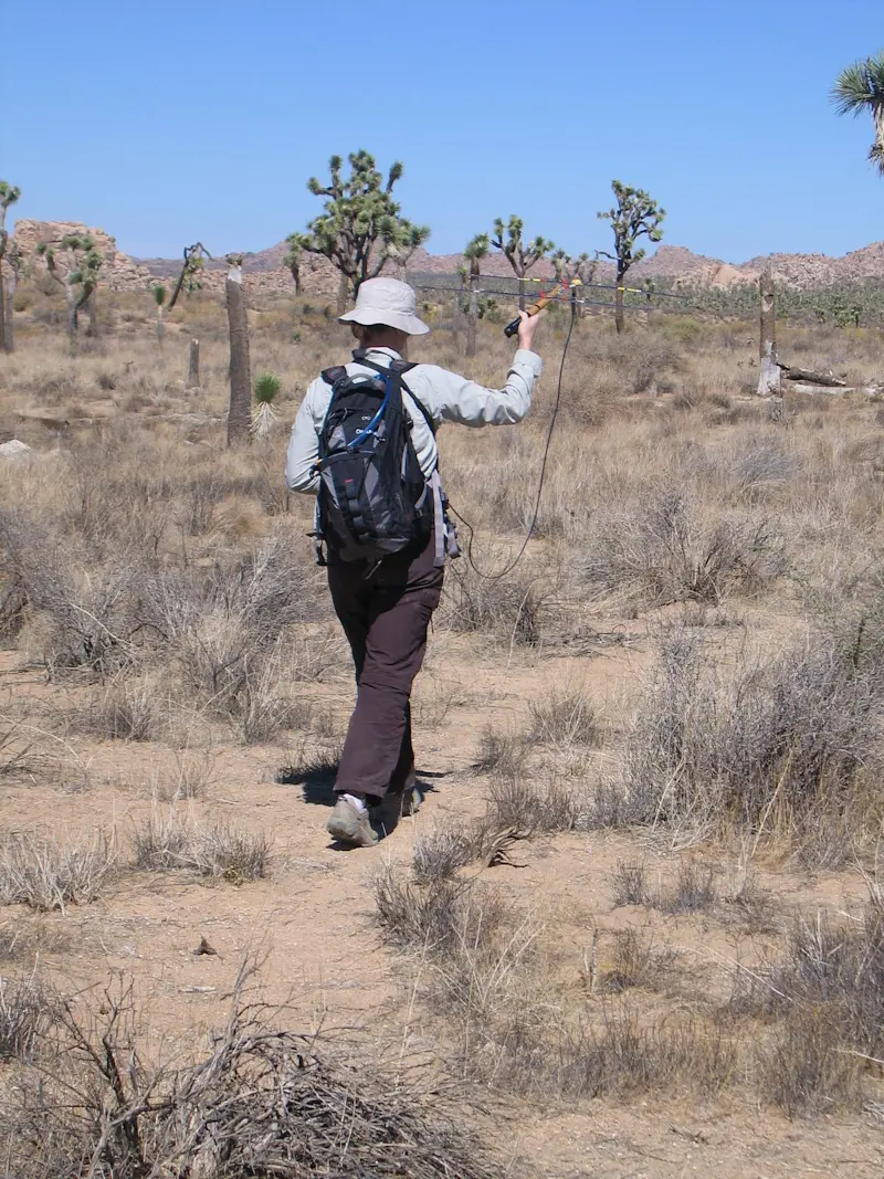 Endangered species monitoring in Joshua Tree National Park, California. 