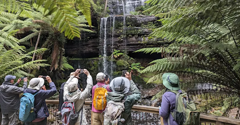 Nat Hab guests, Russell Falls, Mount Field National Park, Tasmania, Australia.