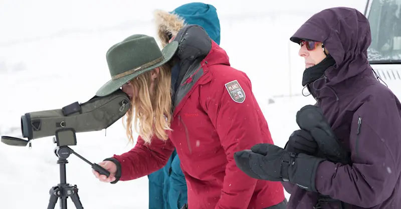 Nat Hab guests and Expedition Leader, Yellowstone National Park, Wyoming.