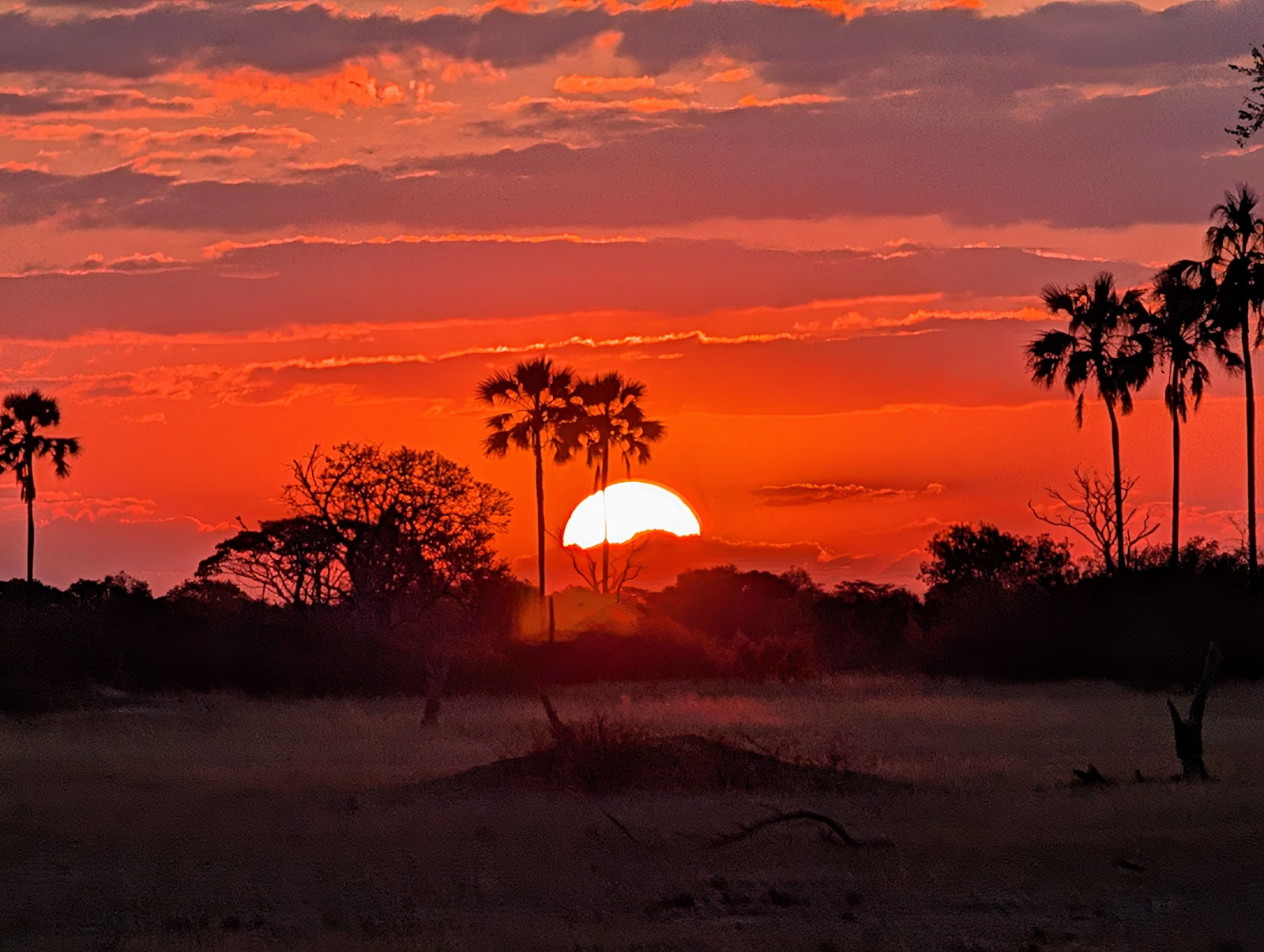 Catching a beautiful sunset in Hwange National Park, Zimbabwe. 