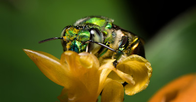 Focus image