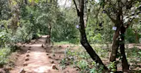 Slideshow Thumbnail 5 of 6