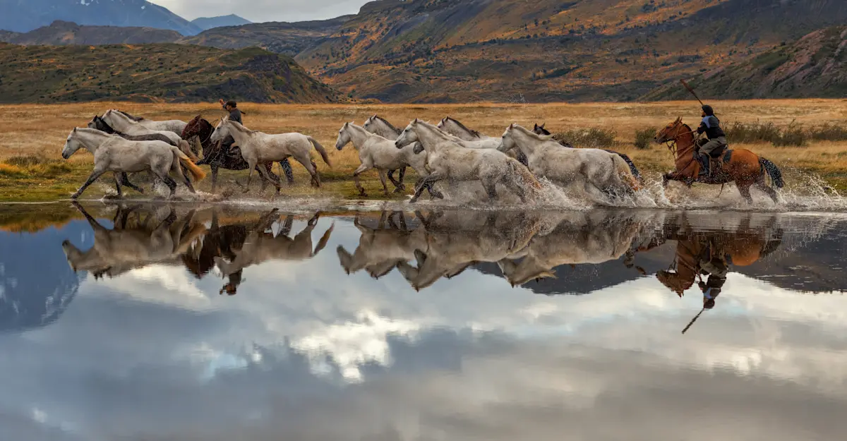 Gauchos herding horses, Argentina. 