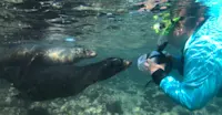 Nat Hab guest, Isabela Island, Galapagos, Ecuador.