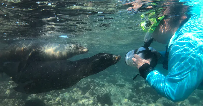 Nat Hab guest, Isabela Island, Galapagos, Ecuador.
