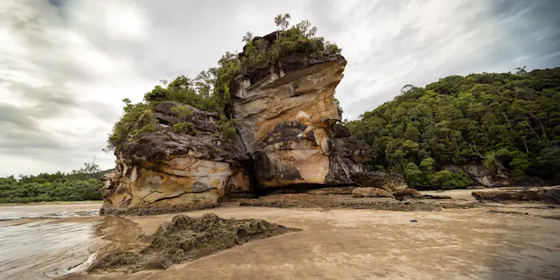Bako National Park, Borneo.