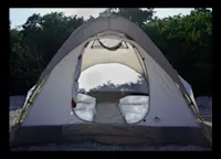 Slideshow Thumbnail 4 of 5