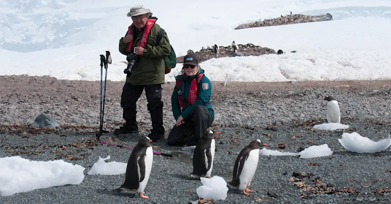 Nat Hab guest and Expedition Leader with gentoo penguins, Antarctica.