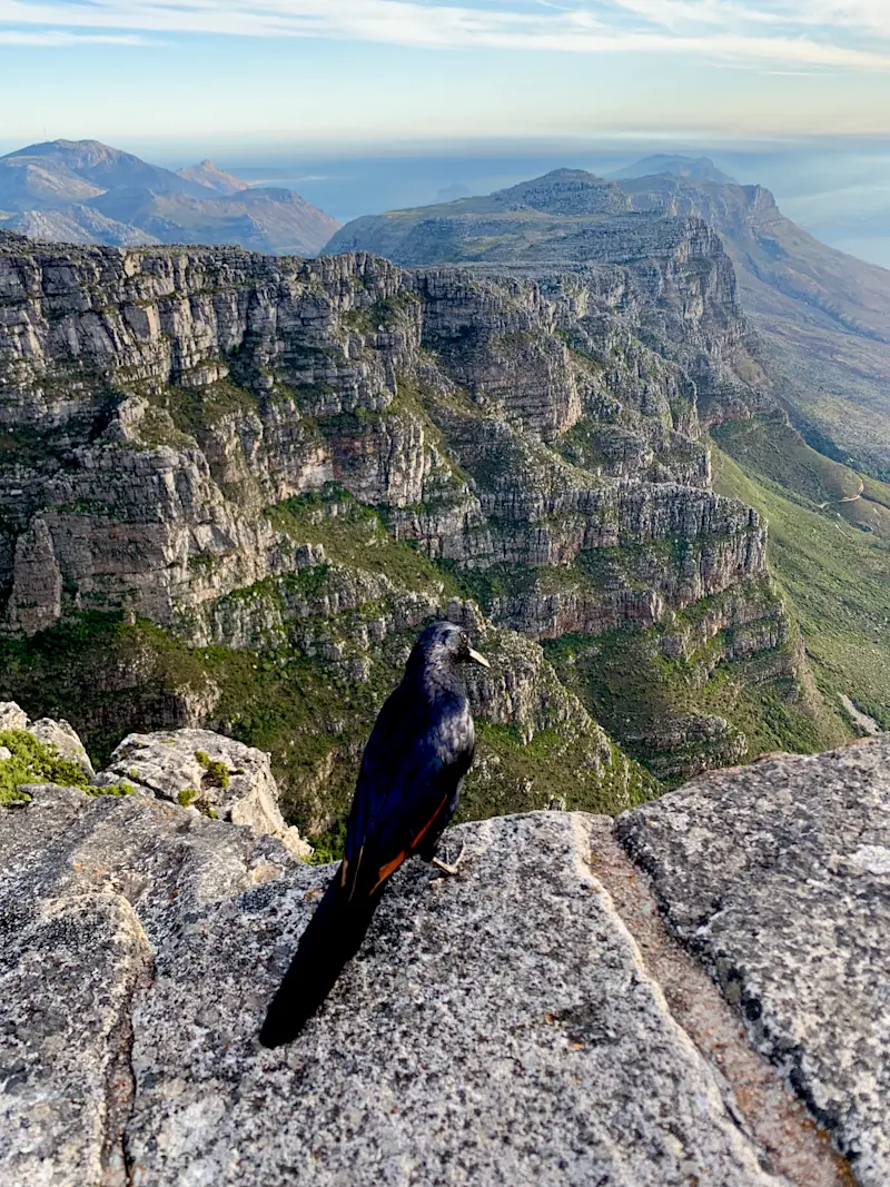 Table Mountain in Cape Town, South Africa.