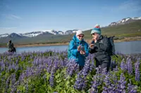 Guests, Bakkageroi, Iceland.