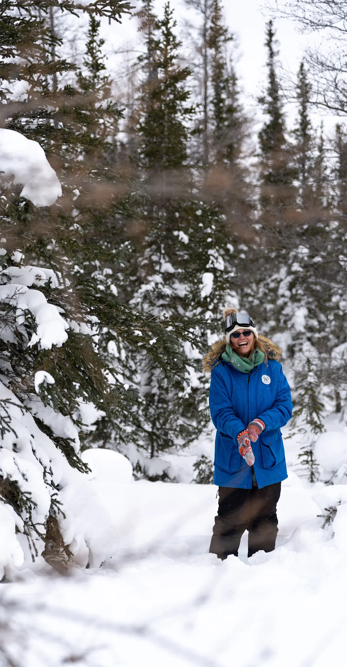 Snowshoeing in the Boreal Forest, Churchill.