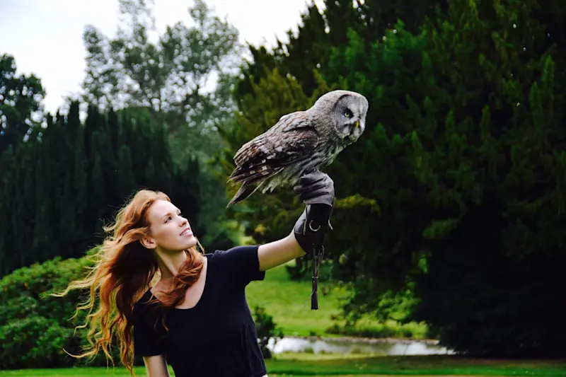 An owl experience straight from Harry Potter at Swinton Estate, a castle hotel at the edge of the Yorkshire Dales. 
