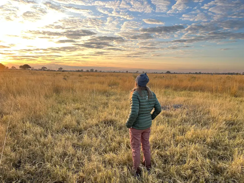 Beautiful sunset in Botswana. 