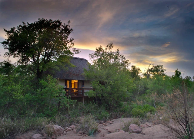 Sabi Sabi Little Bush Camp Sabi Sand Game Reserve South Africa