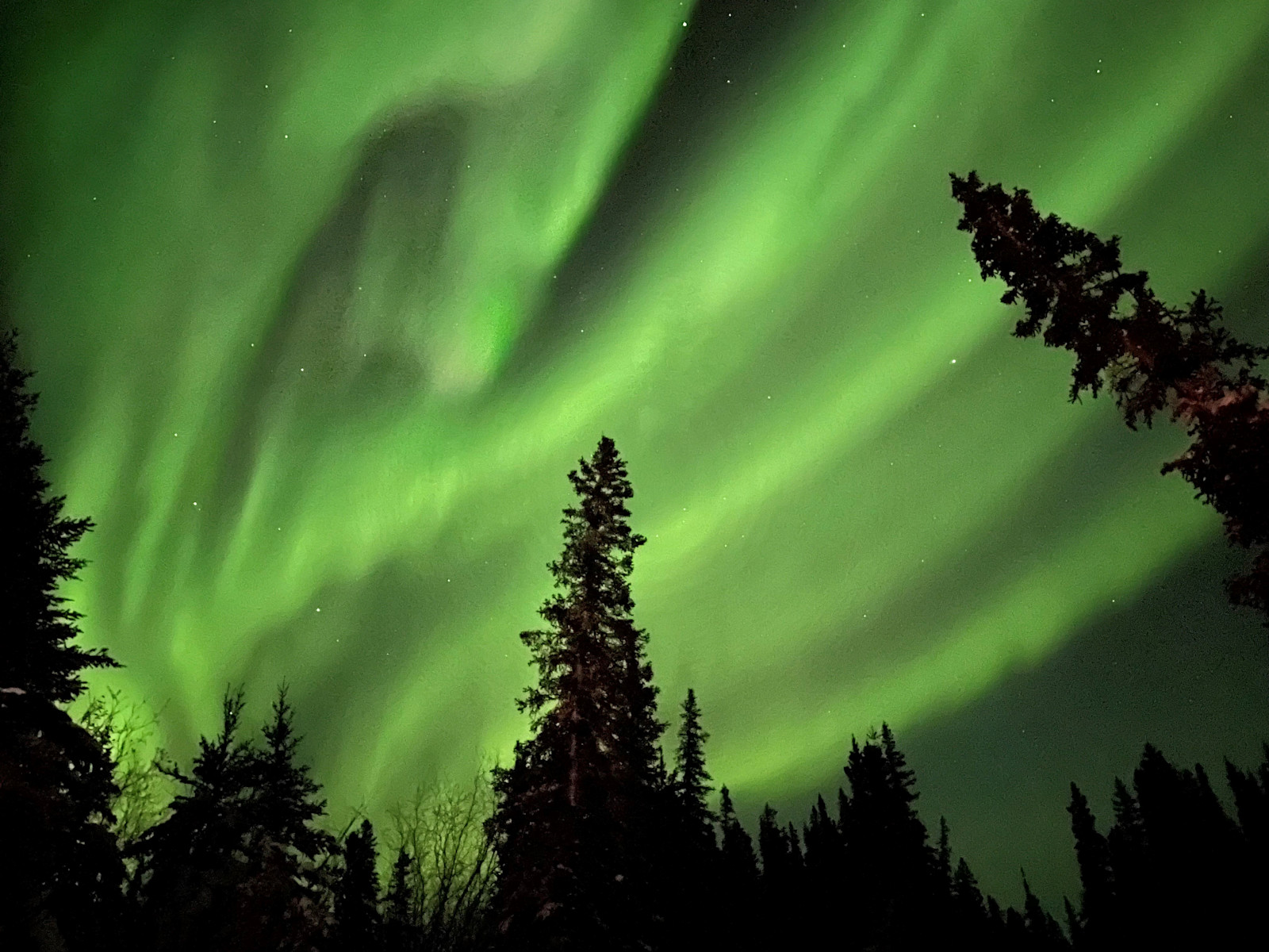 Stunning northern lights, Churchill, Canada.
