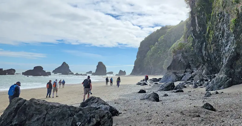 Nat Hab guests, West Coast, New Zealand.