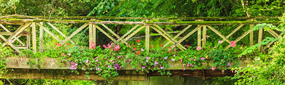 bridge in forest with flowers, adventure details, Cotswolds