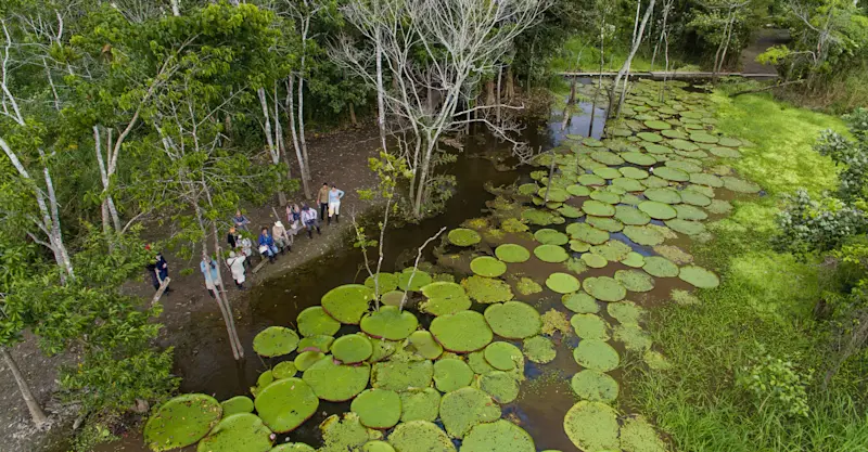 Nat Hab guests, Amazon Rainforest, Peru.