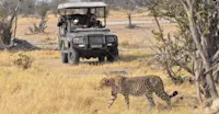 Nat Hab guests and cheetah, Serengeti National Park, Tanzania.
