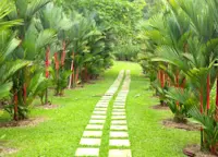 Slideshow Thumbnail 7 of 7