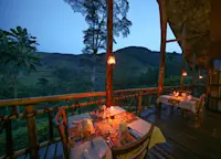 Mahogany Springs Lodge Bwindi Impenetrable National Park Uganda