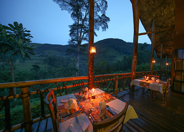 Mahogany Springs Lodge Bwindi Impenetrable National Park Uganda