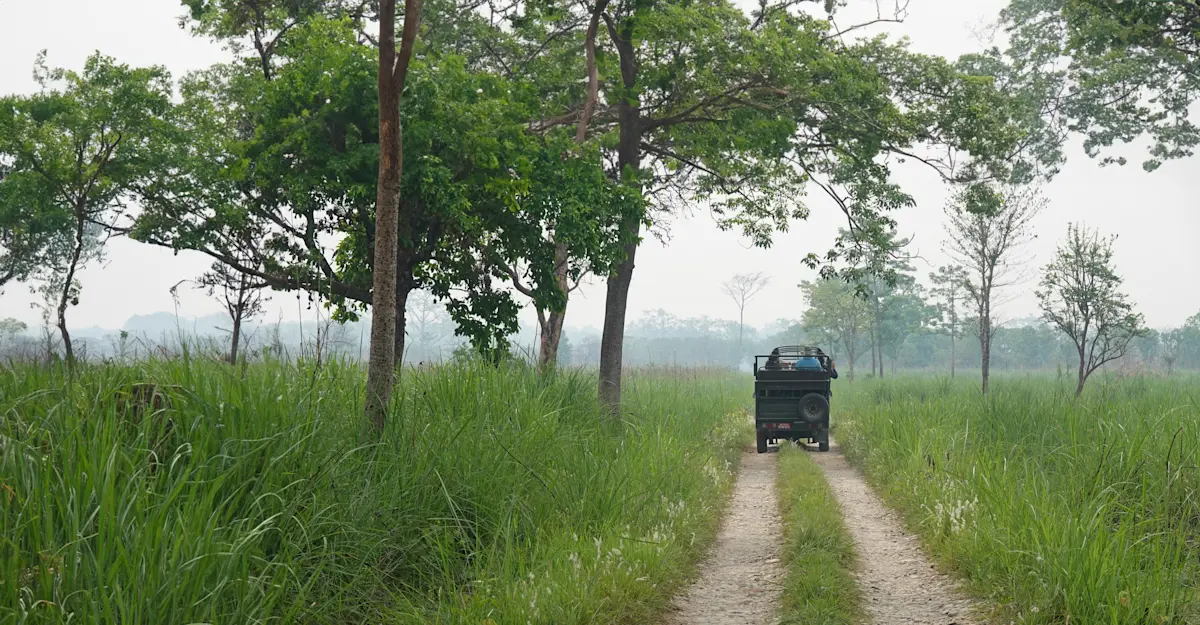 Chitwan National Park, Nepal.