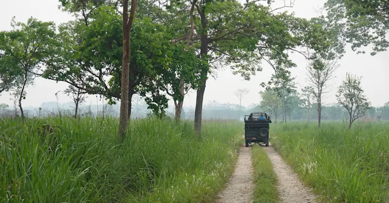 Chitwan National Park, Nepal.