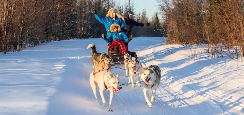Nat Hab guests dog sledding, Churchill, Manitoba.
