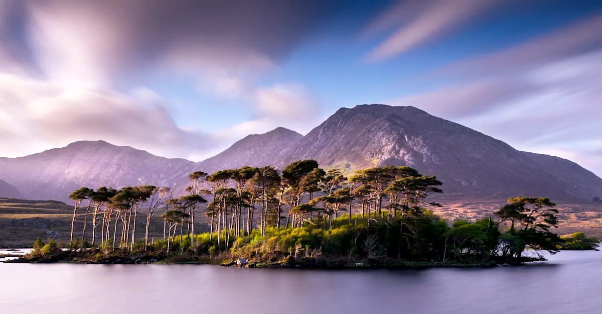 Pine Island, Connemara, Ireland.