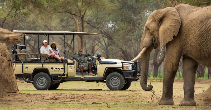 Elephant, Lower Zambezi National Park, Zambia.