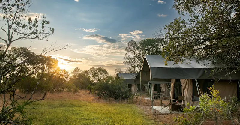 Guest tents at Nat Hab's Rhino Camp—Ol Pejeta Conservancy