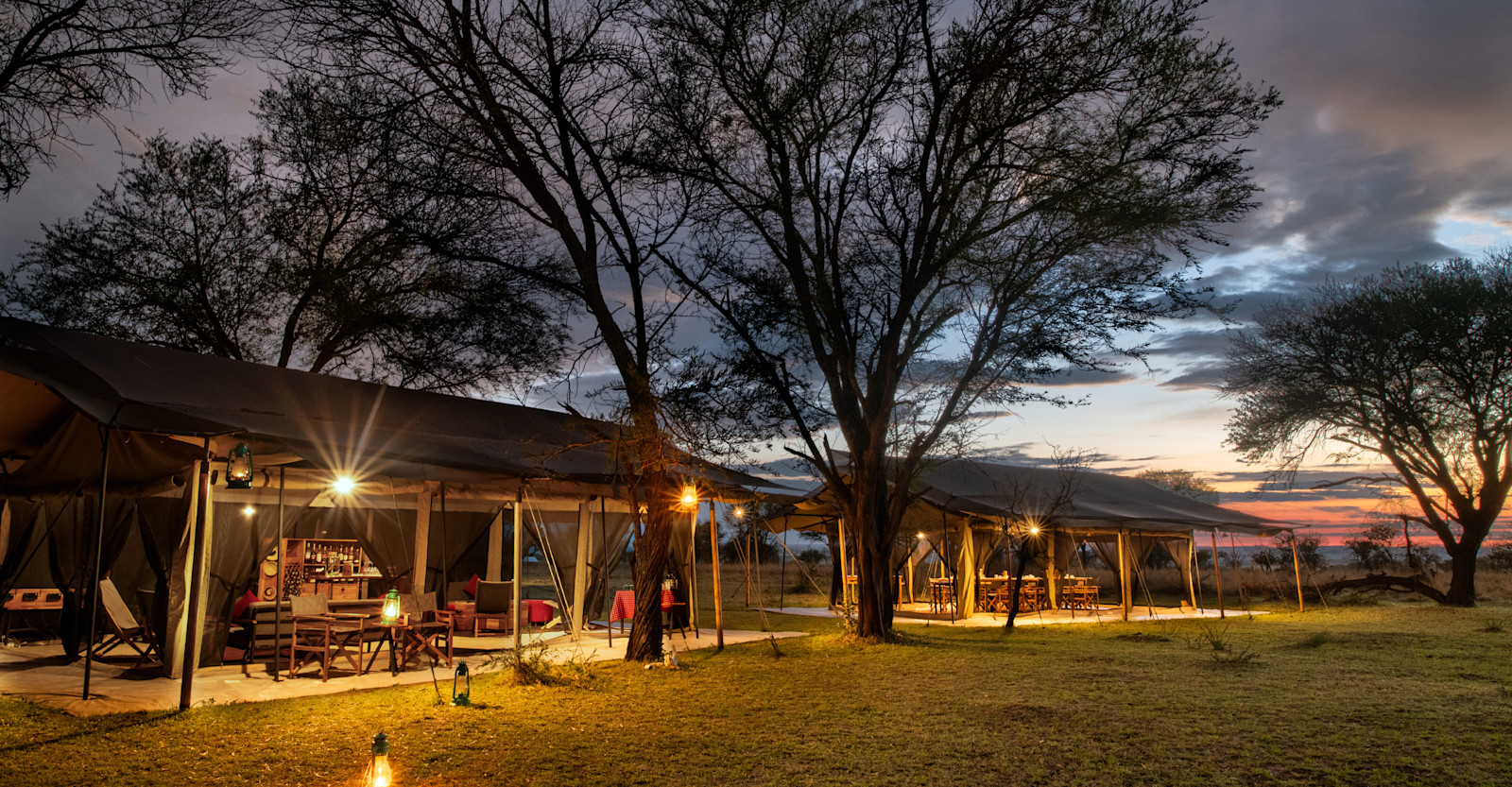 Evening at Nat Hab's Migration Camp—Serengeti